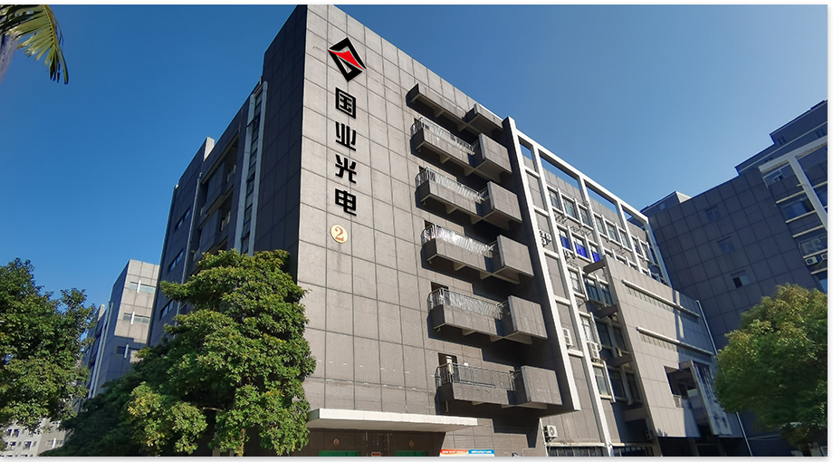 Shenzhen Guoye Optoelectronics 2024 Yıllık Özet